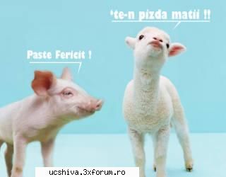 avatare frate - this piccia rulzz - fun