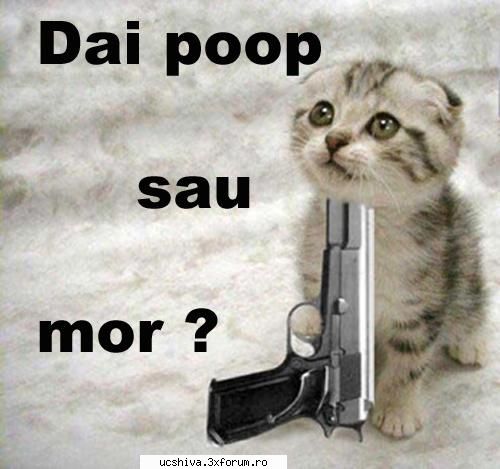 poze penale:D - da sa puneti ji voi ceva dreaq....nu numa yo - fun